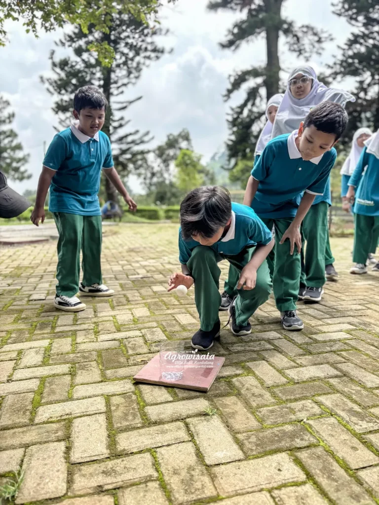 Paket Agro Edukasi dan Outbound Anak di Villa Bukit Hambalang