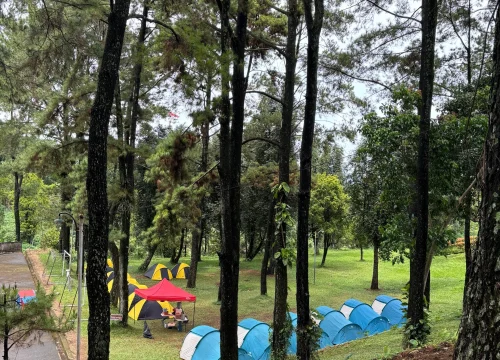 Camping Seru di Hutan Pinus Villa Bukit Hambalang: Nikmati Keindahan Alam