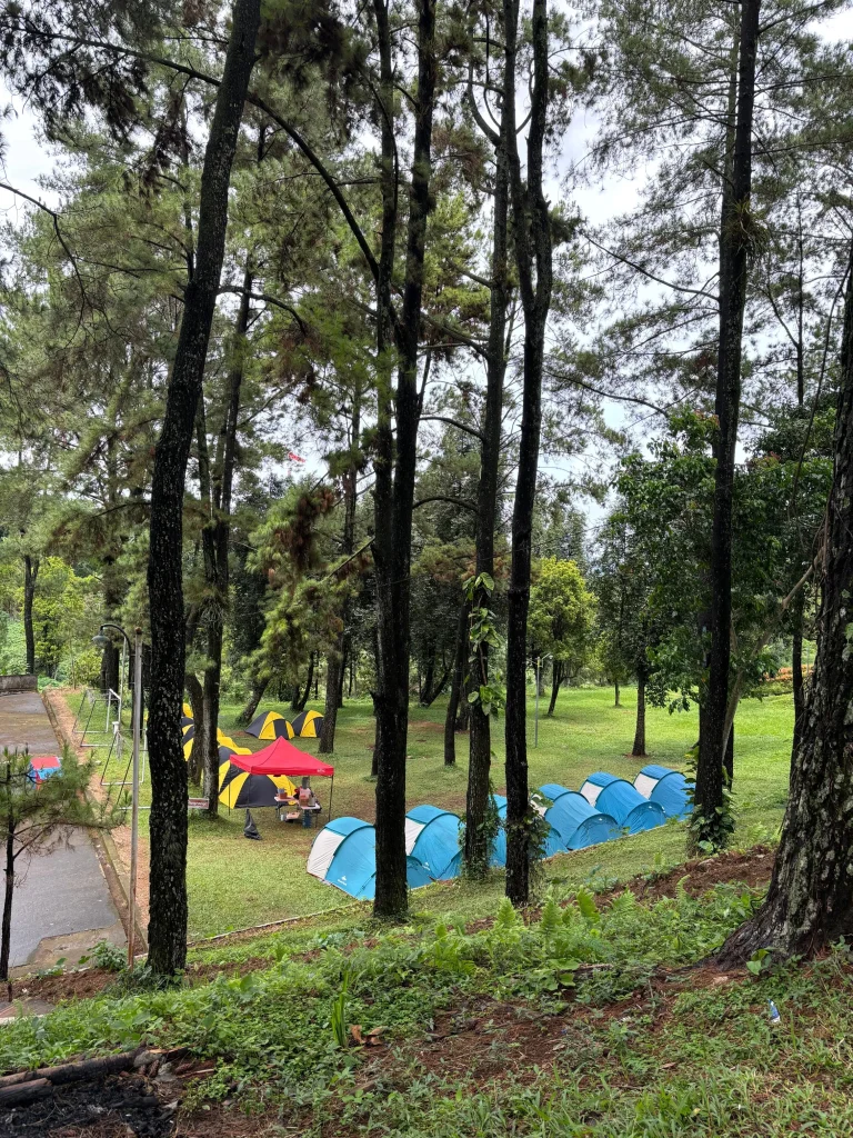 Camping Seru di Hutan Pinus Villa Bukit Hambalang: Nikmati Keindahan Alam