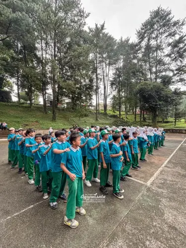 Agro Edukasi dan Outbound Villa Bukit Hambalang