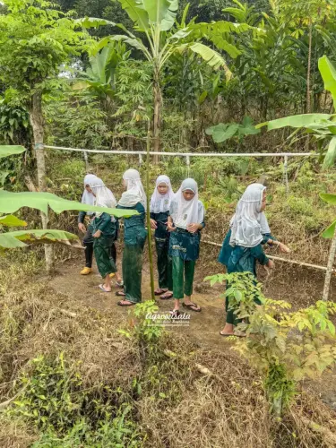Agro Edukasi dan Outbound Villa Bukit Hambalang